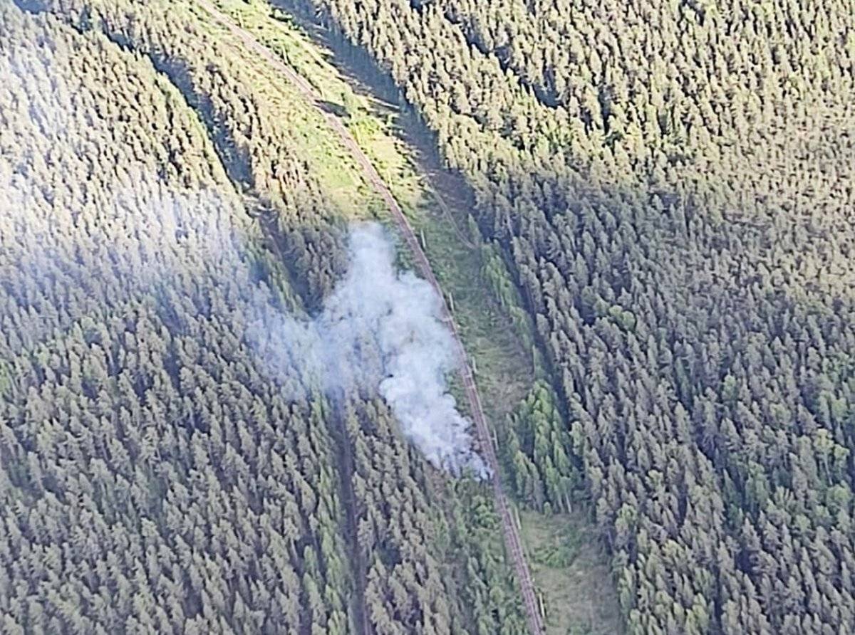 С начала пожароопасного периода в Новгородской области зарегистрировали 21 лесной пожар.