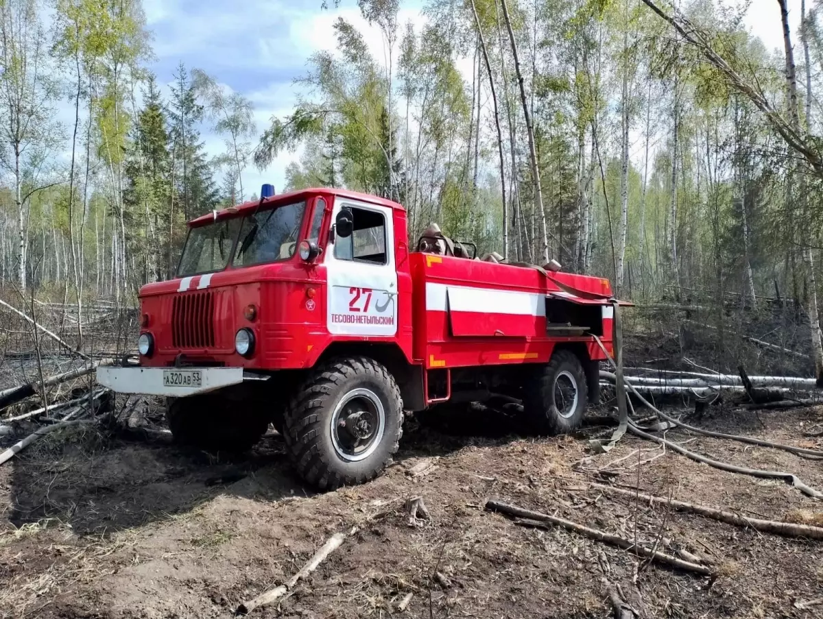 С 16 мая за землях лесного фонда области ввели особый противопожарный режим, действует запрет на вход в леса.