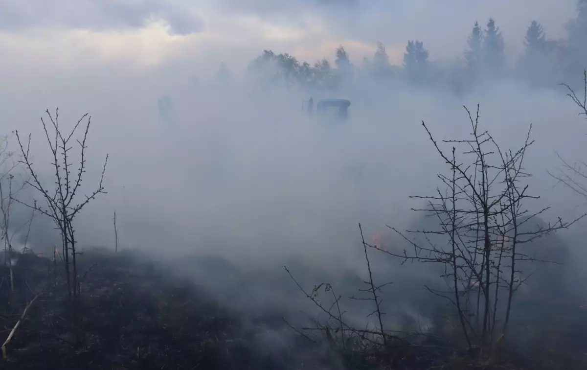 В Парфинском районе площадь возгорания составила 8 га.