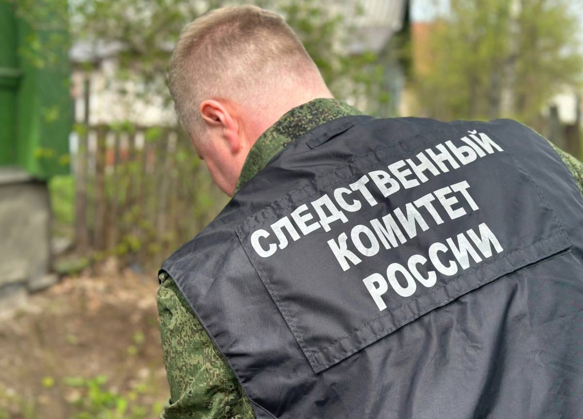 Уголовное дело расследовали в Следственном управлении СКР по Новгородской области.