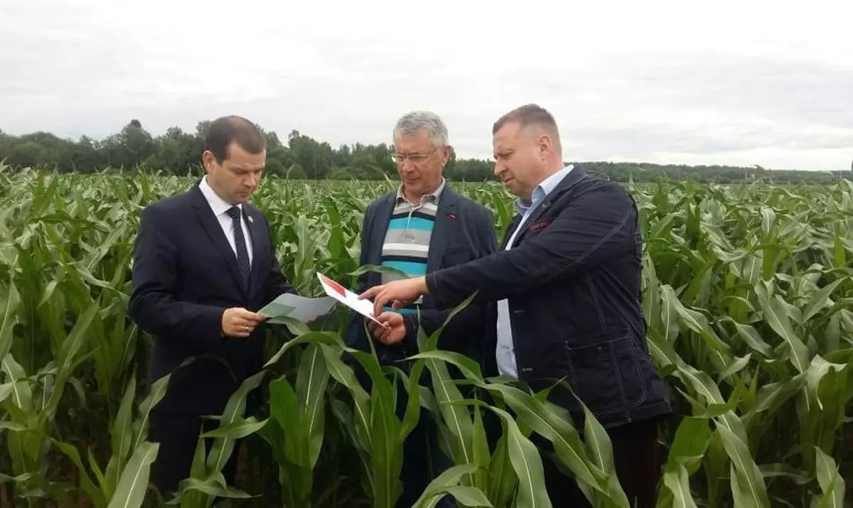 Олег Шахов, Сергей Яковлев и Сергей Галицкий побывали на полях компании, засеянных кукурузой.
