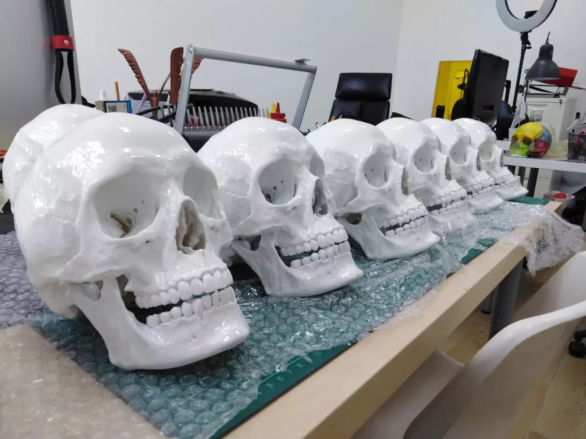 Основой для пробных образцов анатомических моделей стали обезличенные результаты томографического сканирования настоящих костей человеческого скелета.