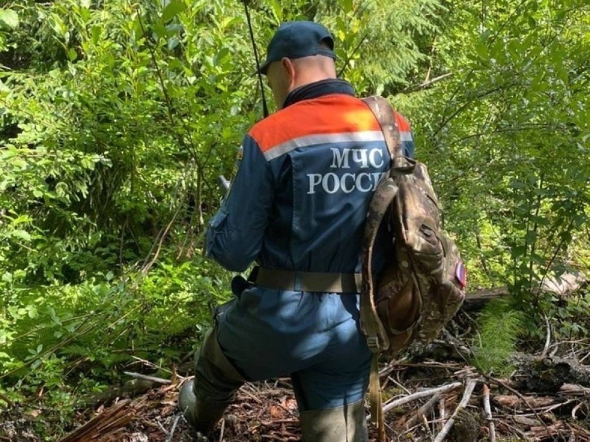 За месяц в лесах Новгородской области заблудились 49 человек