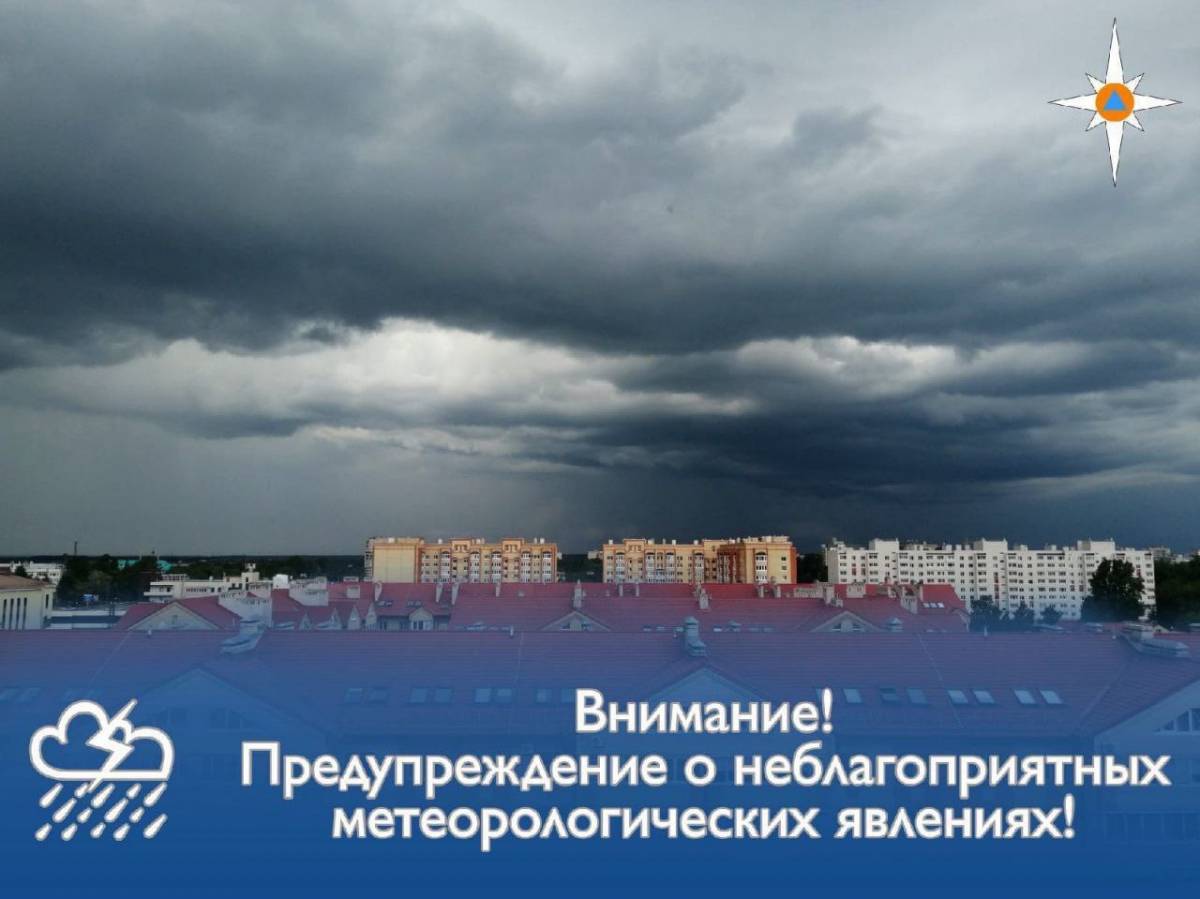 Ночью в Новгородской области ожидаются сильные дожди с грозами