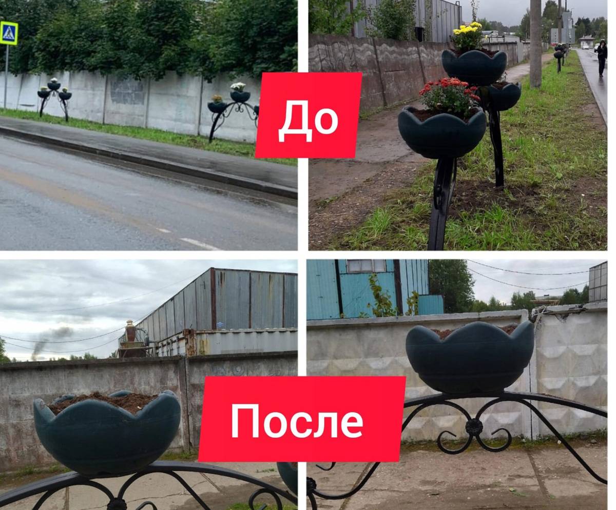Вандалы уничтожили цветы, высаженные в вазонах вдоль Устюженского шоссе.