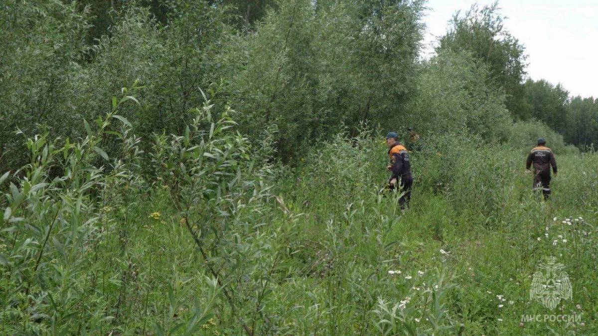 Женщина заблудилась в лесу в Парфинском районе 2 сентября.