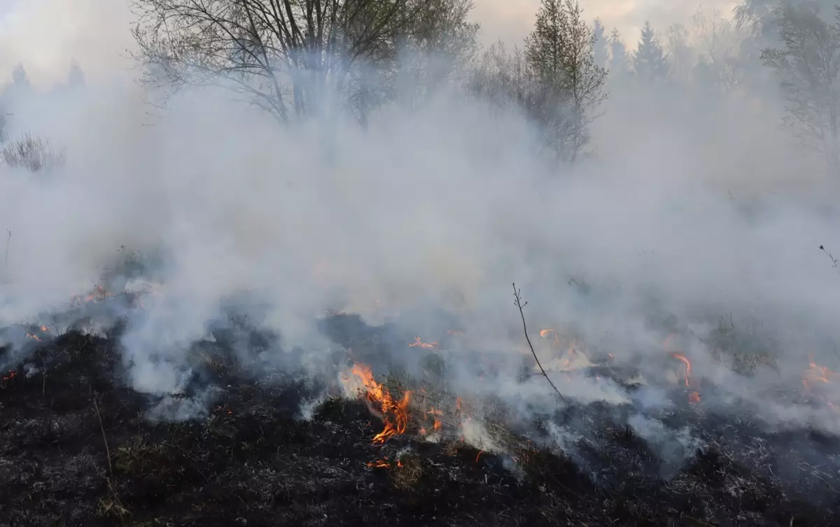В Новгородской области установили четвёртый класс горимости по региональной шкале.