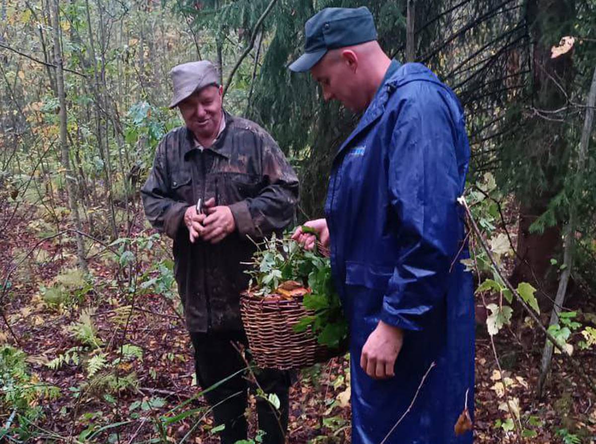 Грибник заблудился в лесу у деревни Новая Мельница Новгородского района