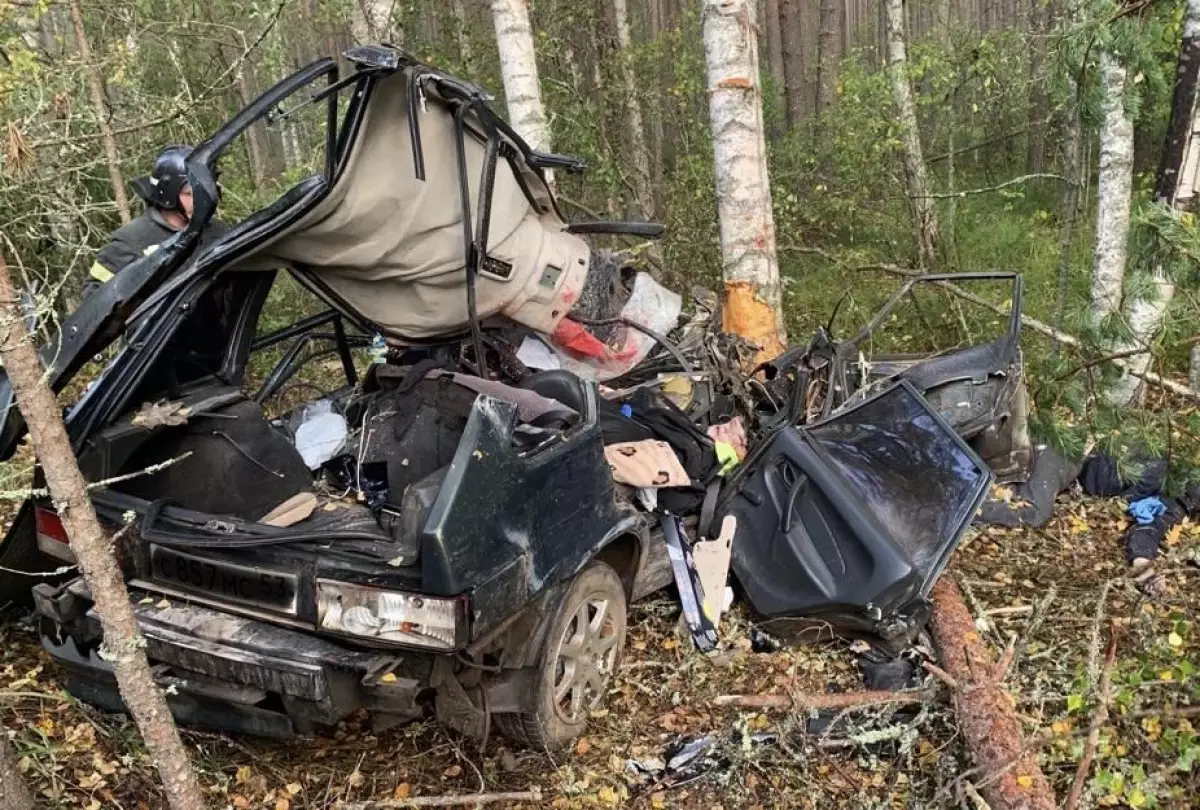 Водитель и 23-летний пассажир скончались на месте происшествия.