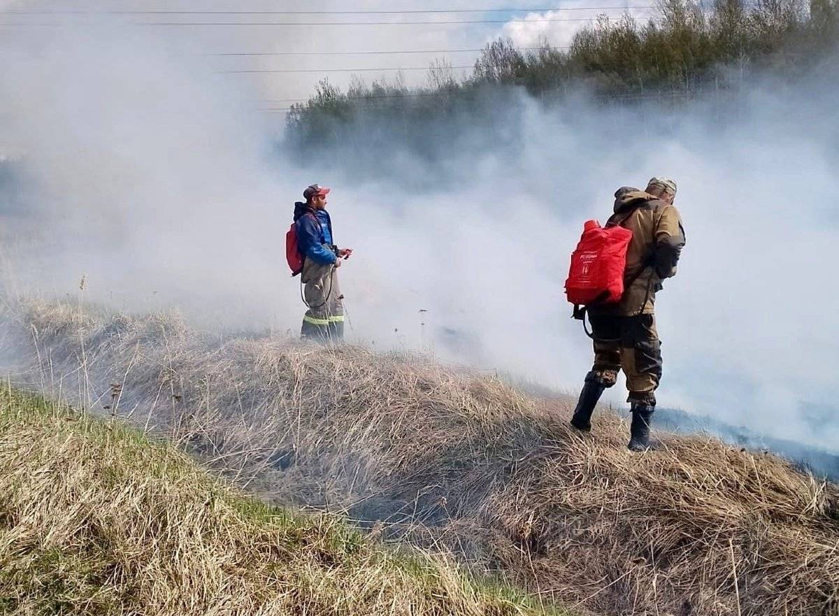 В Новгородской области лесные пожары выявляют с помощью авиамониторинга, видеонаблюдения и обхода территории лесопатрульными службами.