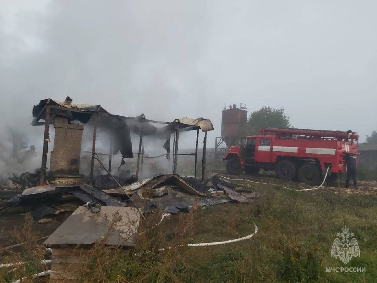 Пожар в новгородской области