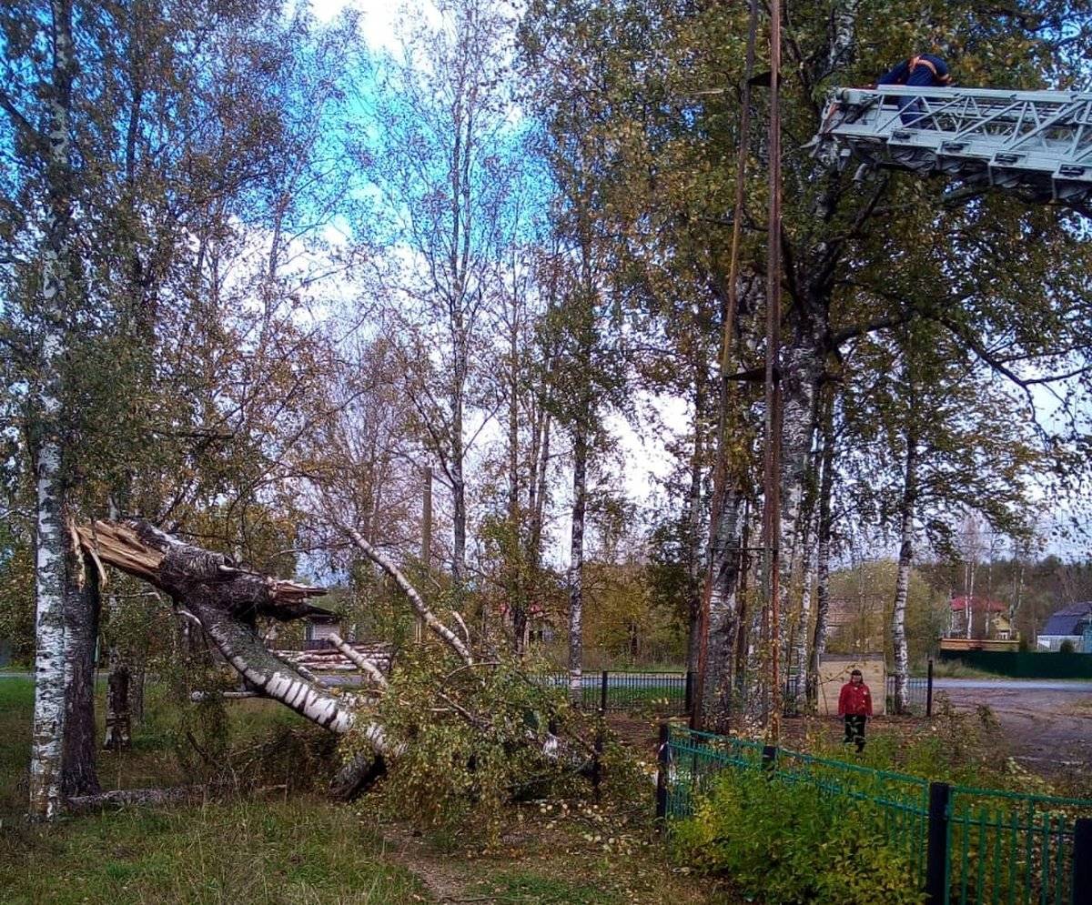 В селе Опеченский Посад пожарные ведут разбор упавших деревьев.