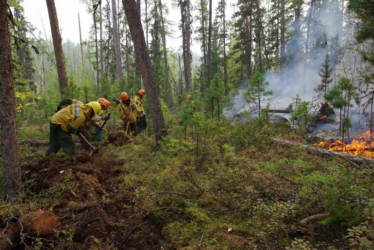 Новгородская область на борьбу с лесными пожарами следующие три года из федерального бюджета будет получать по 43,7 млн рублей ежегодно.