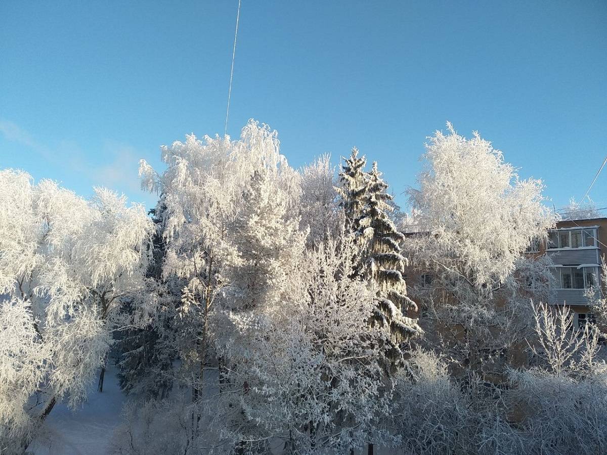 На востоке Новгородской области ожидается сильный снег.