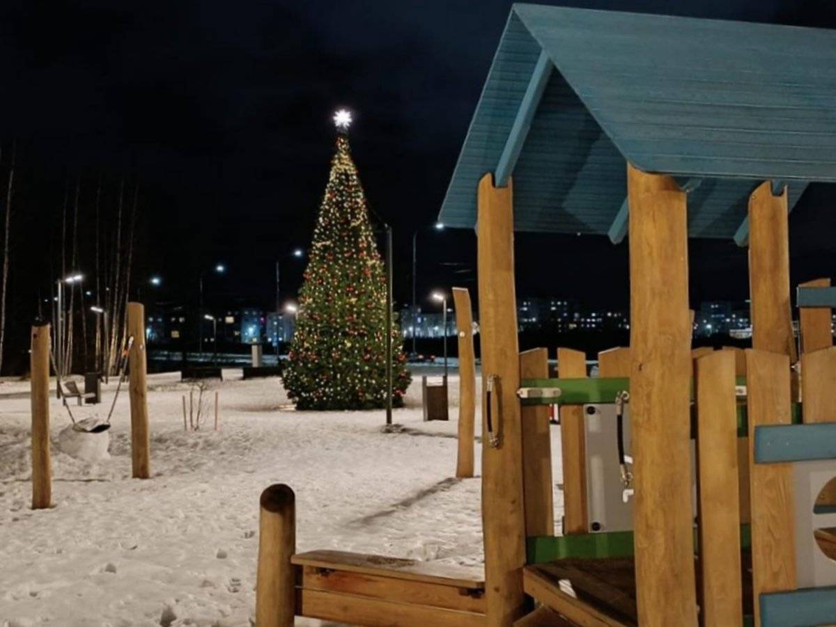 В парке «Берёзовая роща» в Псковском микрорайоне установили новогоднюю ёлку.
