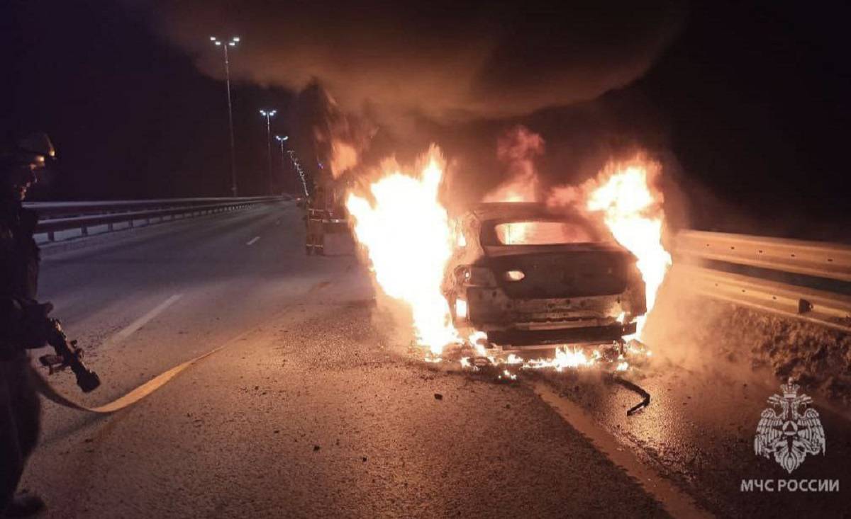 Автомобили горели в Окуловском и Новгородском районах.