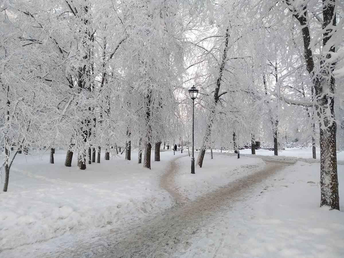 6 января синоптики обещают снежную погоду.