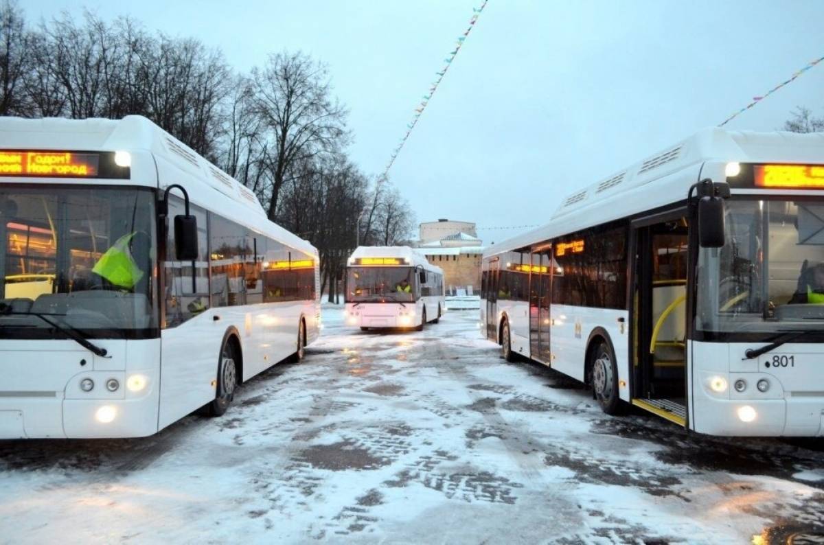 В Великом Новгороде запустят новый автобусный маршрут до Витославлиц
