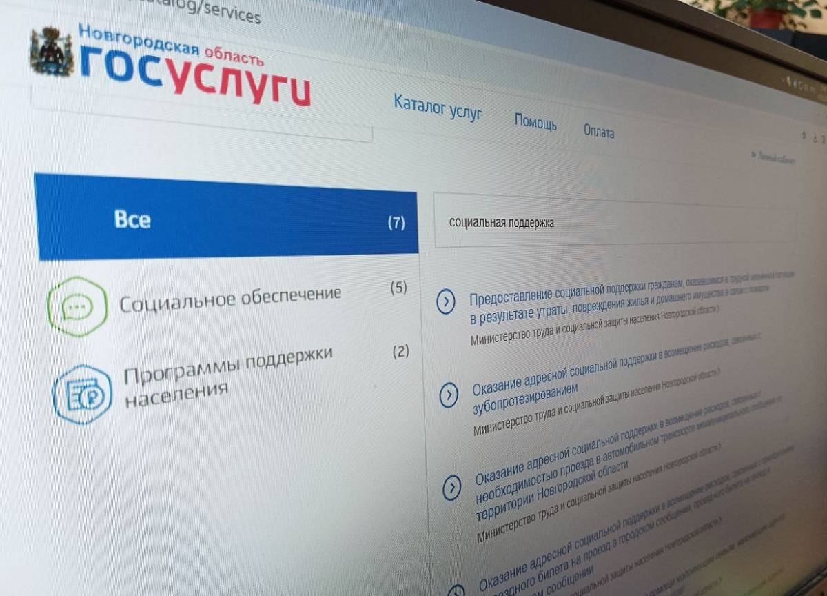 В Новгородской области с 2019 года функционирует Региональный портал электронных услуг.