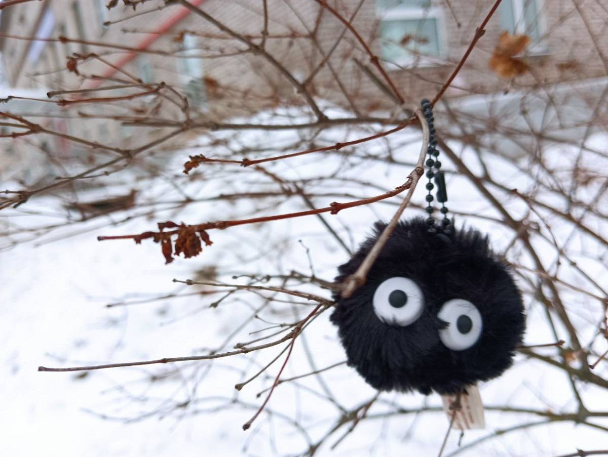 Сильные морозы продлятся в Новгородской области как минимум до 11 февраля.