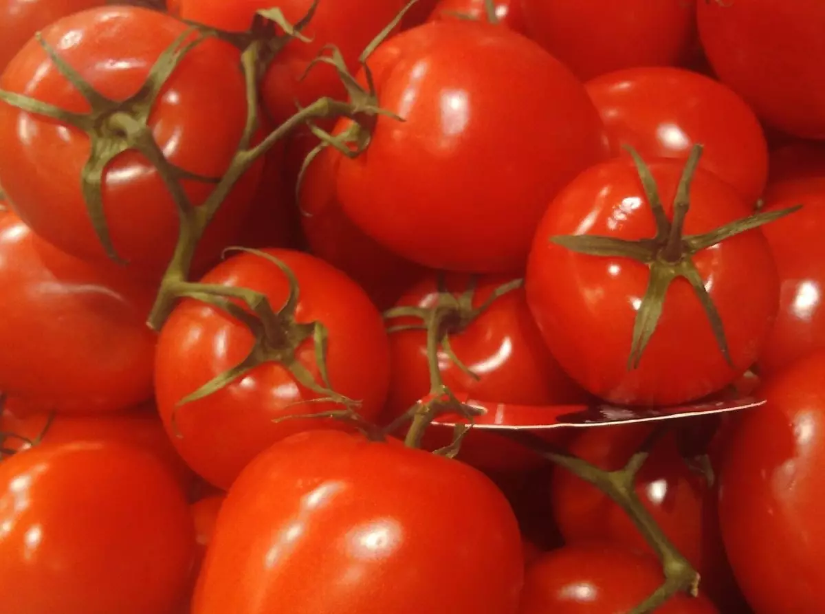 61% урожая овощей защищённого грунта в 2023 году в регионе пришлось на томаты.