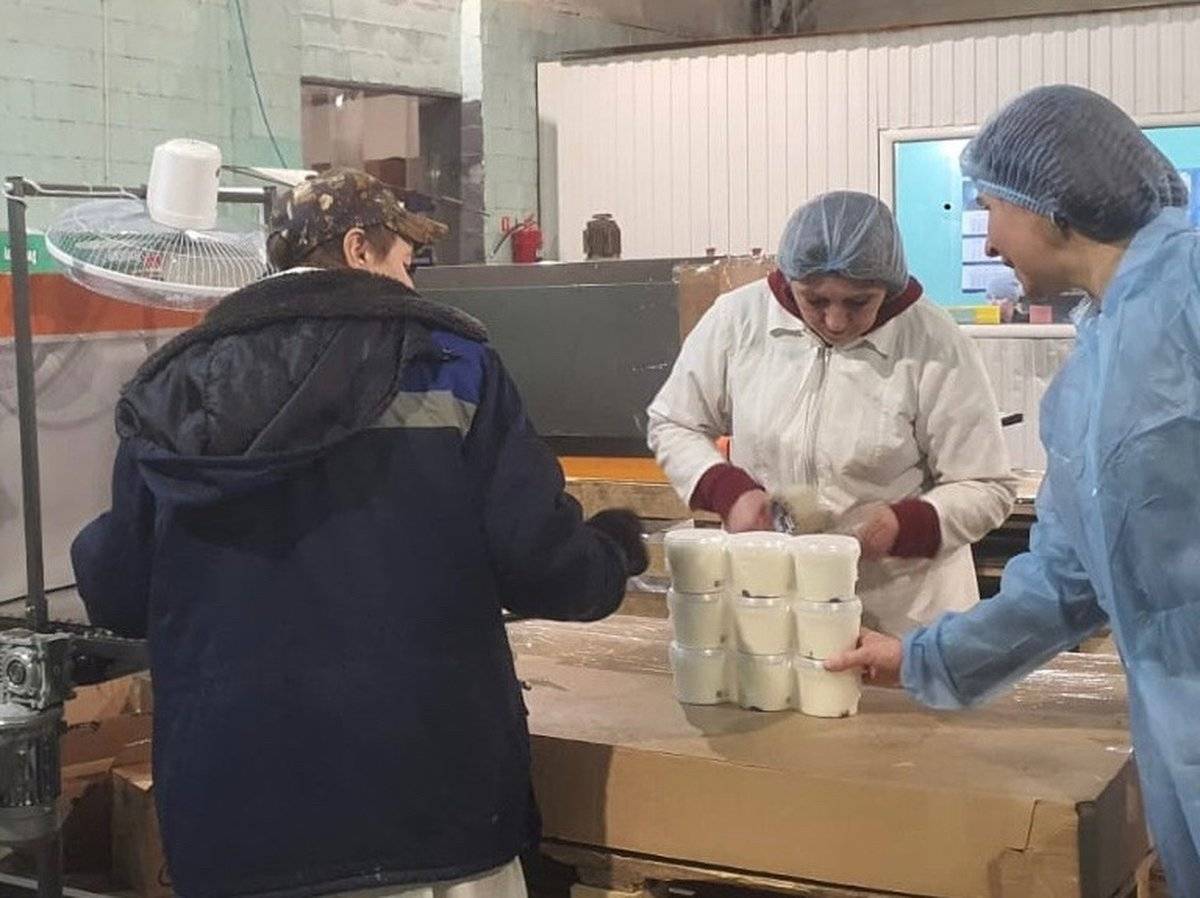 Предприятие «Старорусское молоко» будут участвовать в профориентационной работе со школьниками.