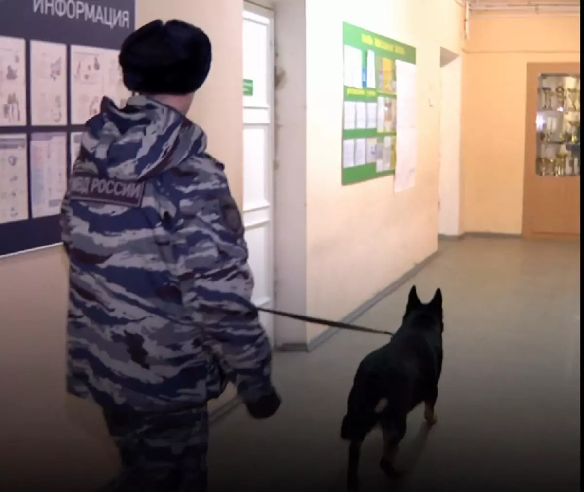 Полицейские с собаками проверили безопасность избирательных участков.