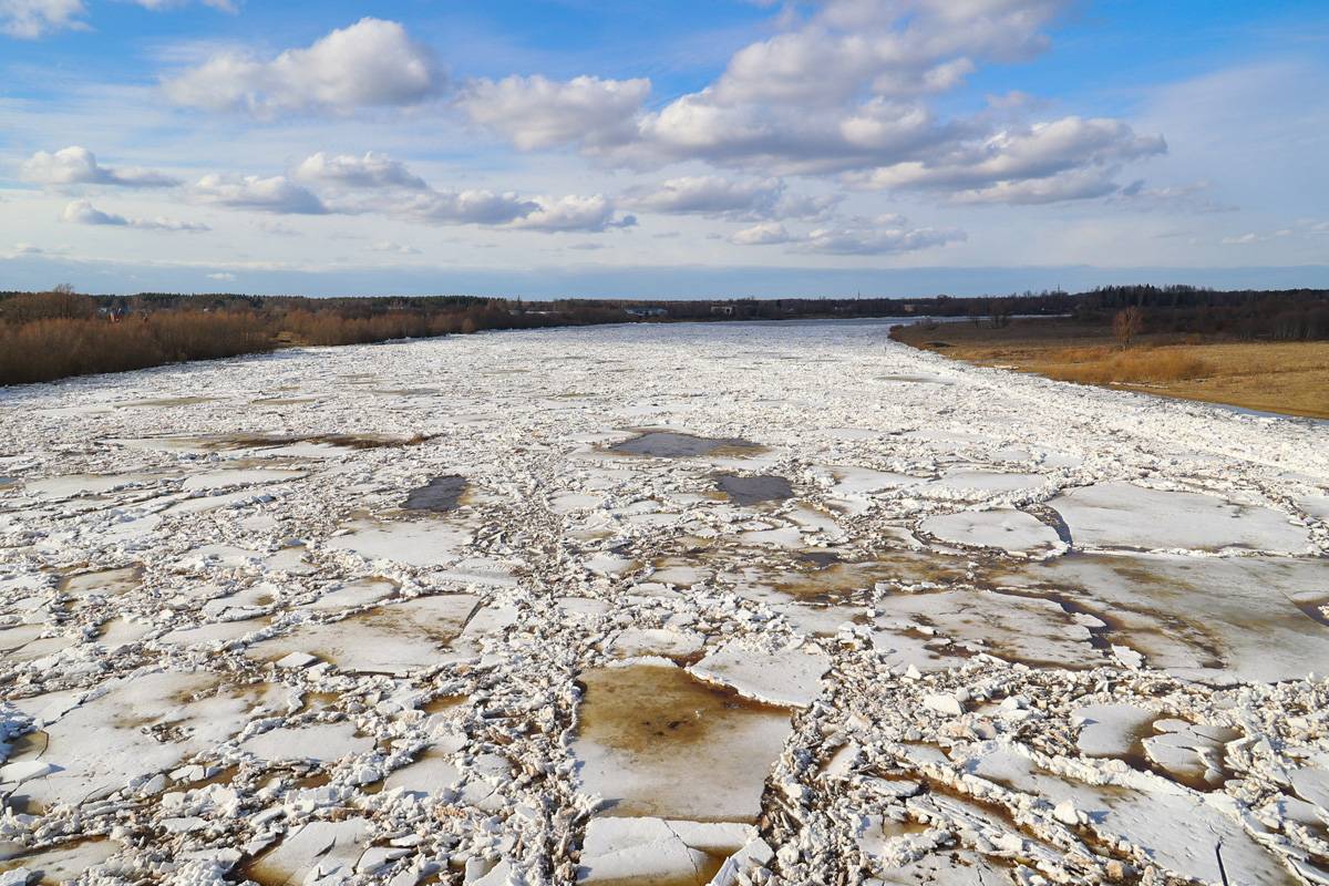 Реки в Новгородской области освобождаются ото льда.