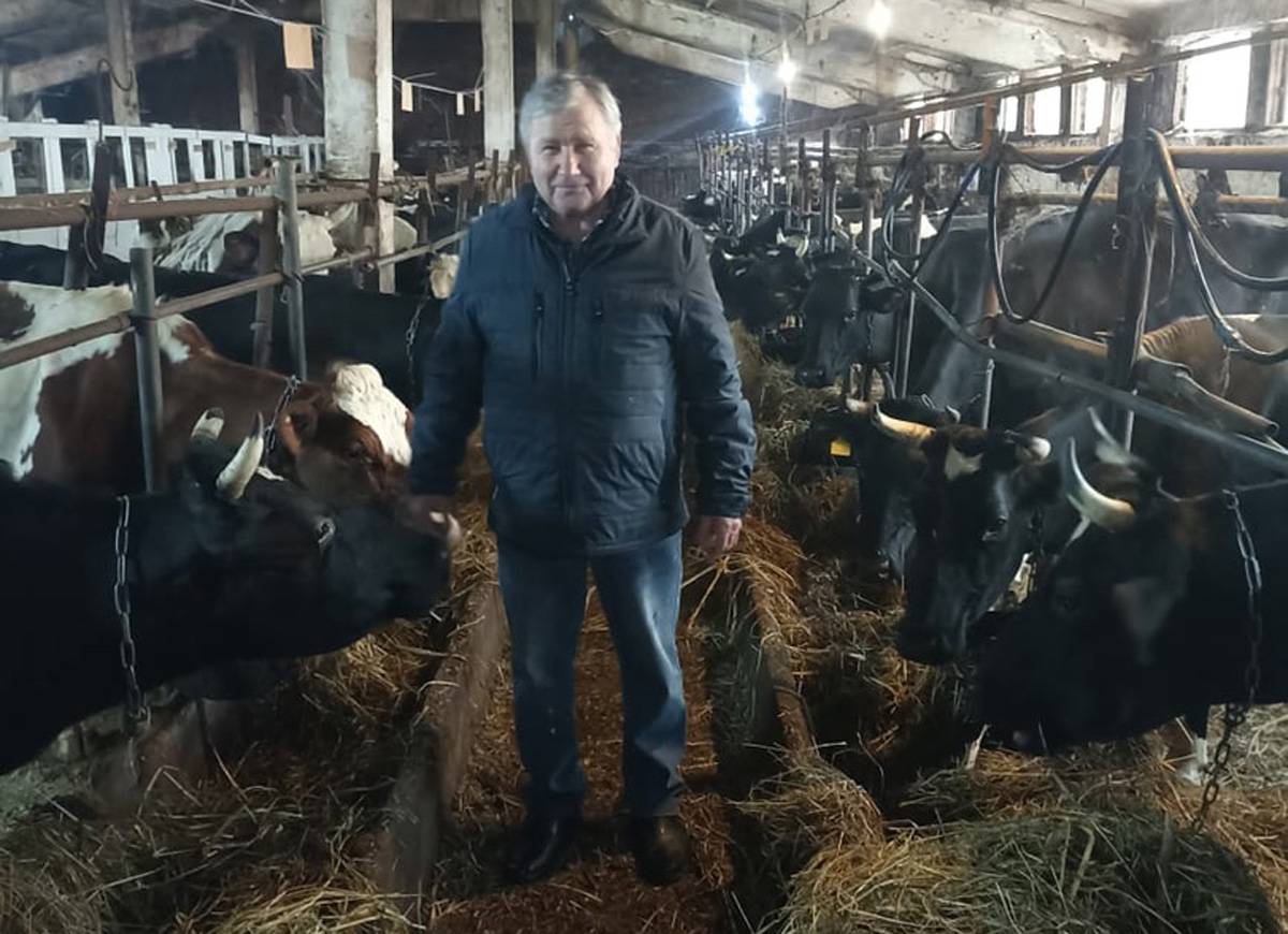 Сейчас в хозяйстве  фермера Василия Рязанова 90 коров.
