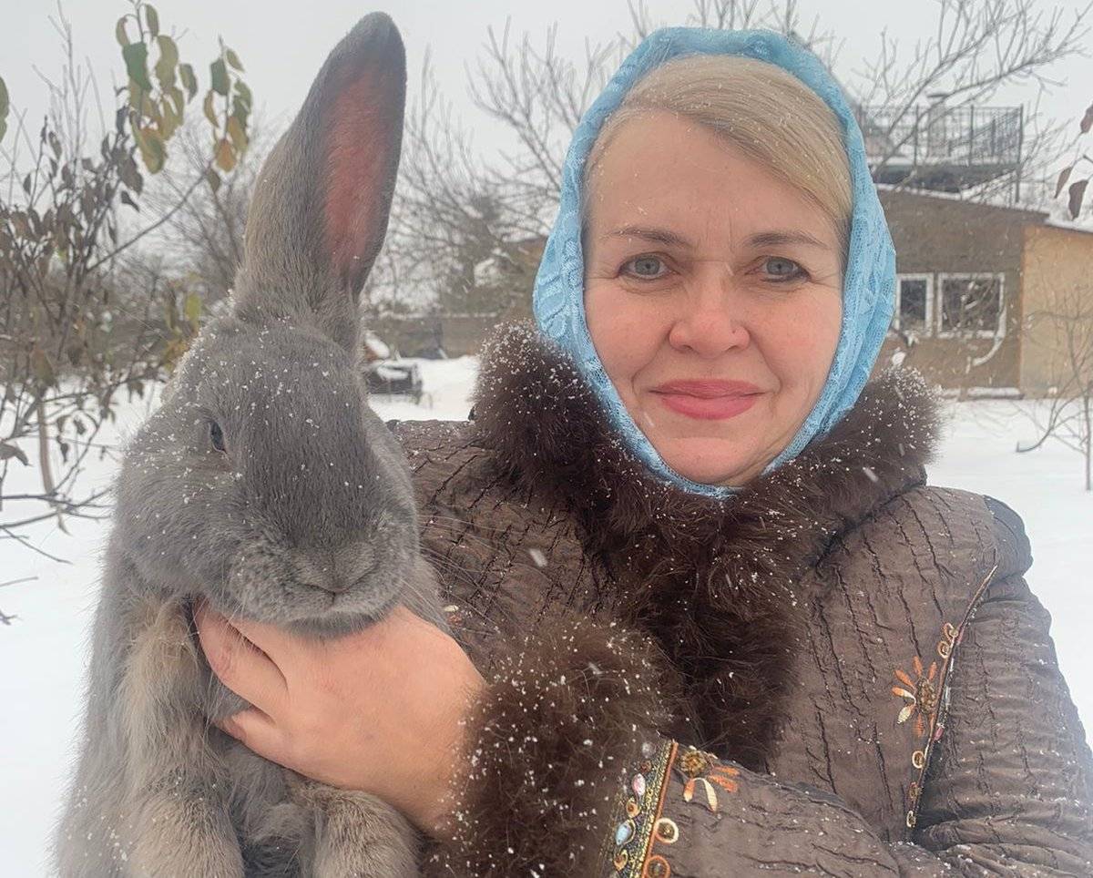 Светлана Полевая занимается животноводством с 2021 года, у неё есть опыт выращивания кроликов, овец, кур и индюков.