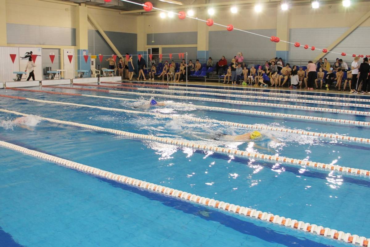 Завершился чемпионат Новгородской области по плаванию среди инвалидов