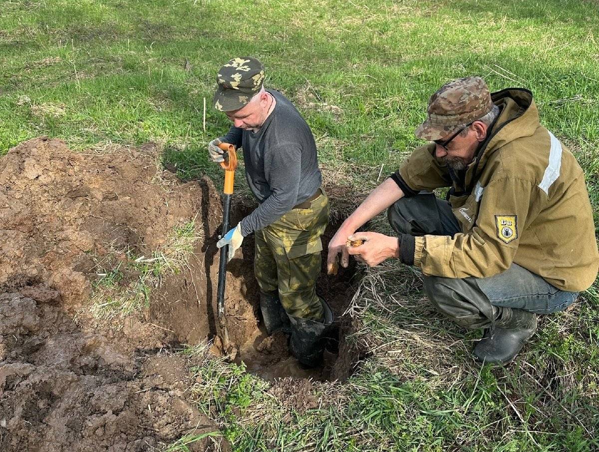 Останки красноармейца обнаружили в районе деревни Щепино в Батецком округе.