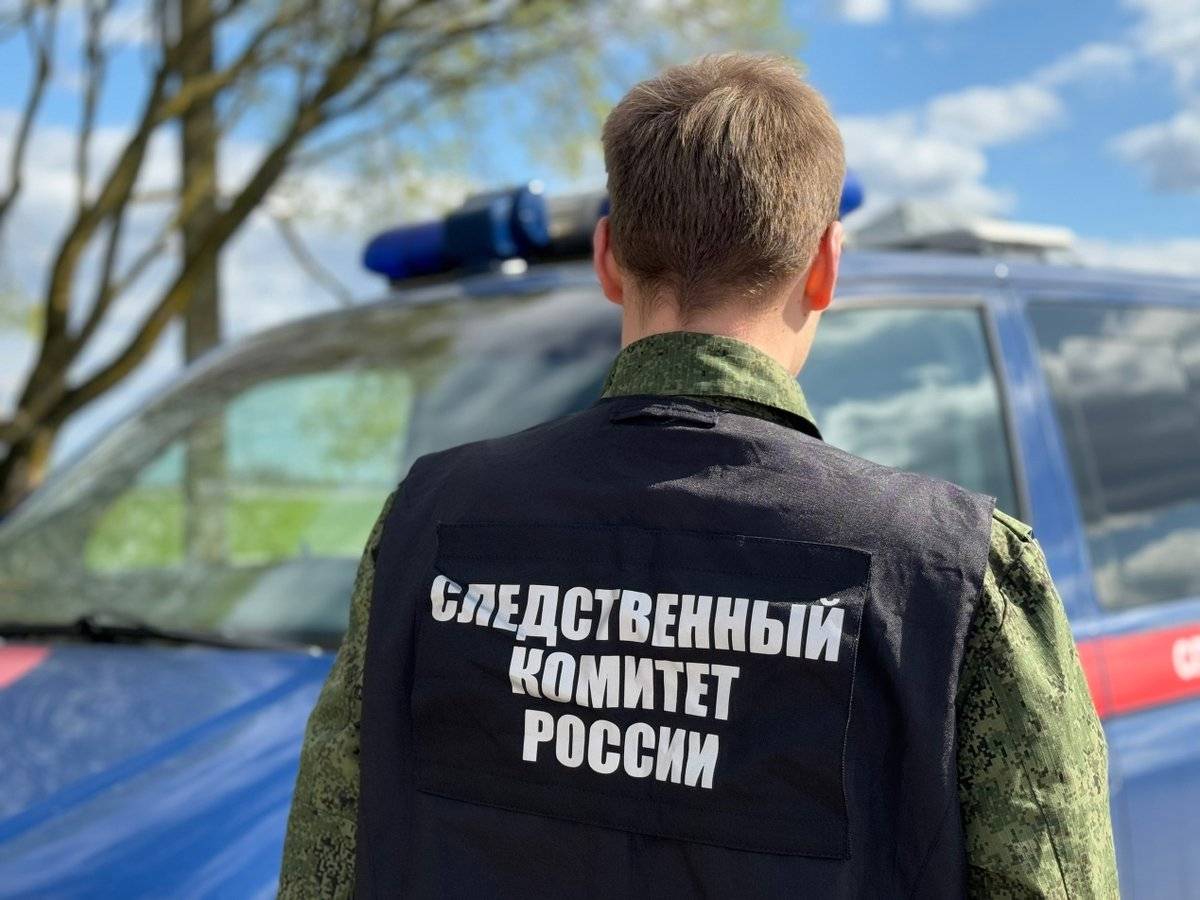 Уголовное дело расследовали в Следственном управлении СКР по Новгородской области.