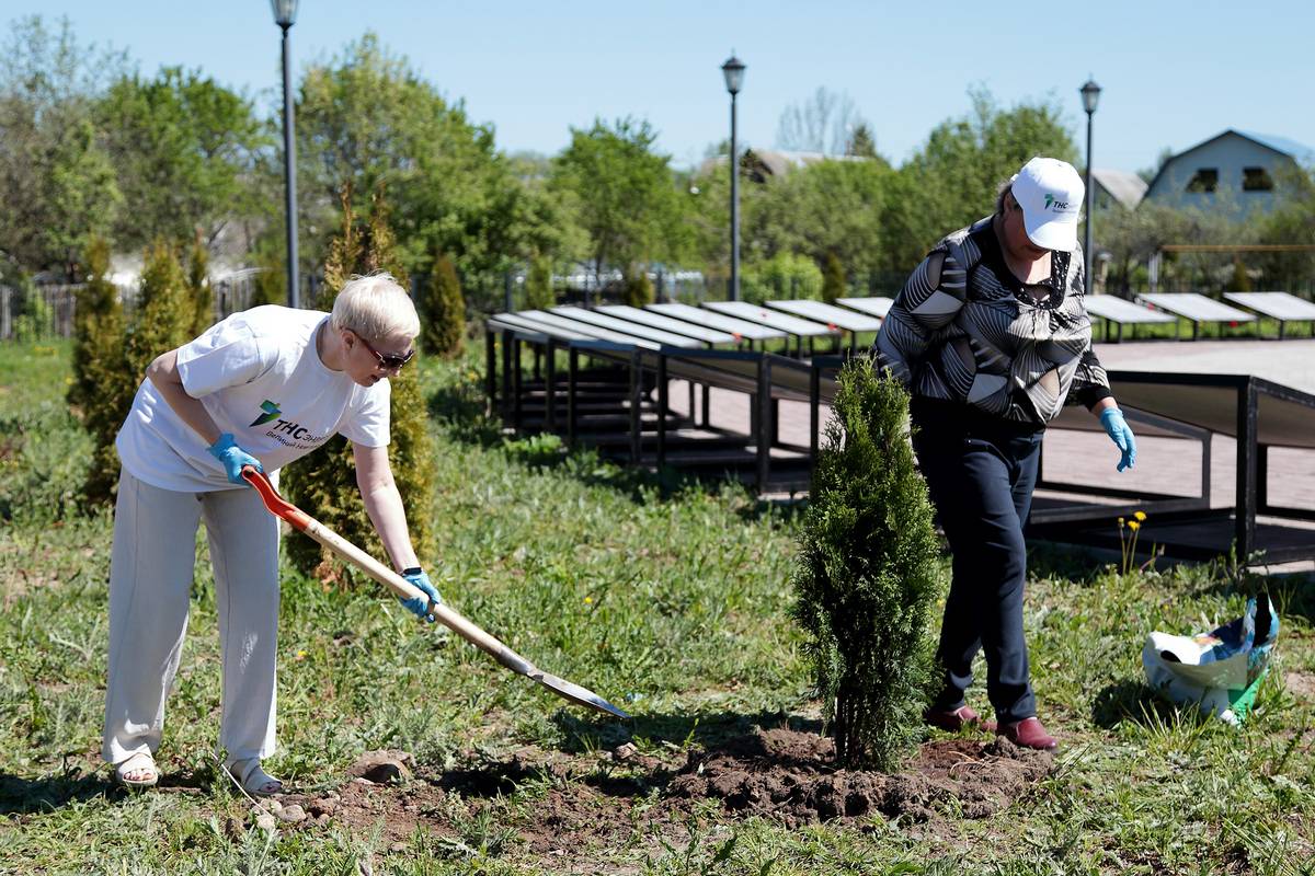 Сотрудники «ТНС энерго Великий Новгород» приняли участие в высадке деревьев