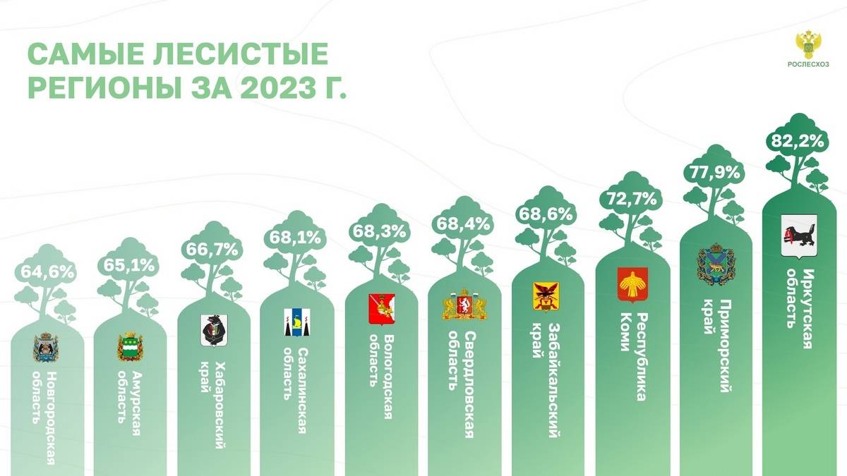 Новгородская область заняла в рейтинге лесистости 10 место.