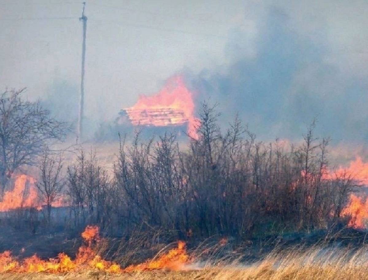 В Новгородской области сохраняется высокая пожароопасность - 4 класс по региональной шкале