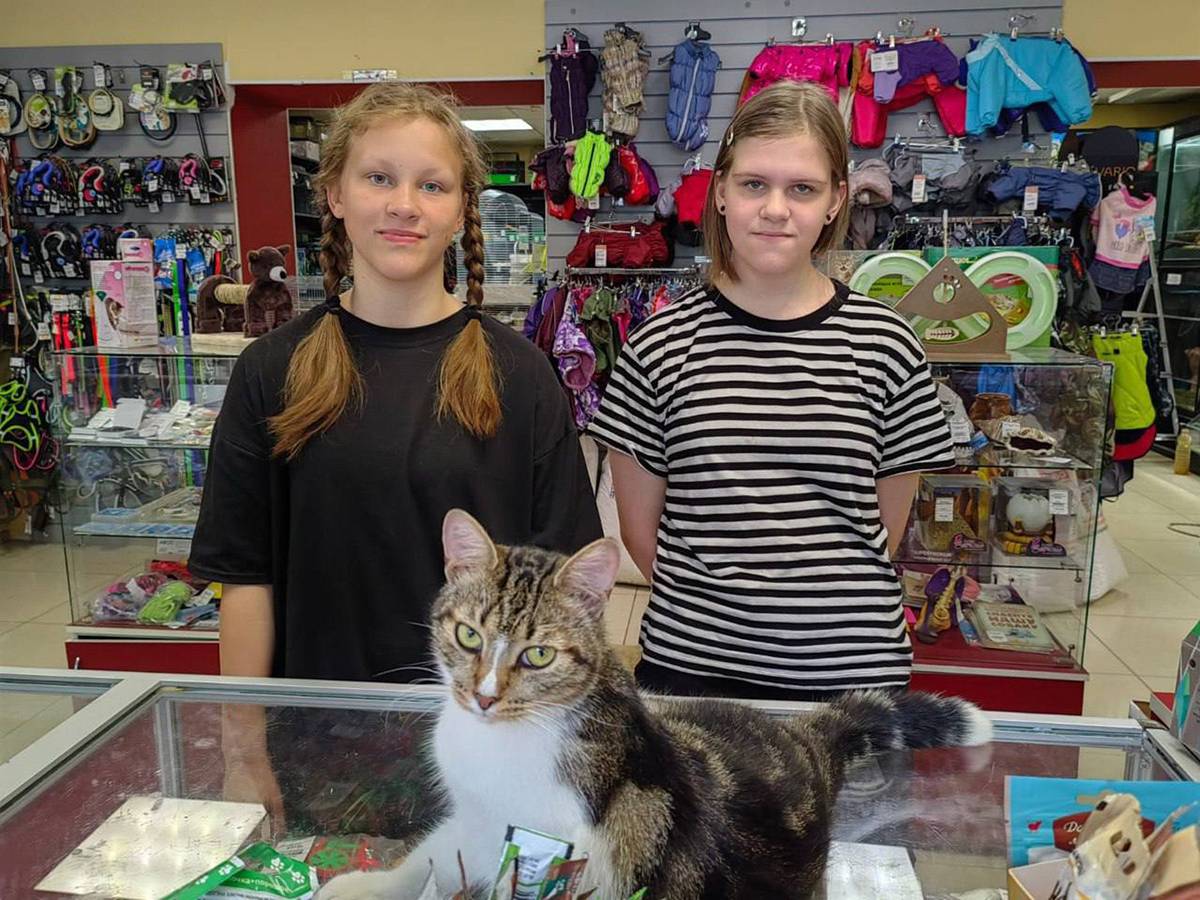Благодаря двум неравнодушным подружкам Соням котейка снова дома в своём любимом зоомагазине.
