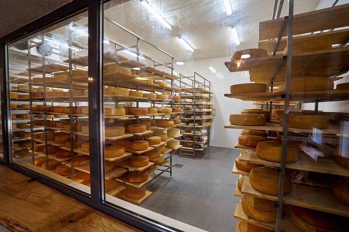 За полгода более 150 гостей попробовали все десять сортов ермолинского сыра из Новгородского района.