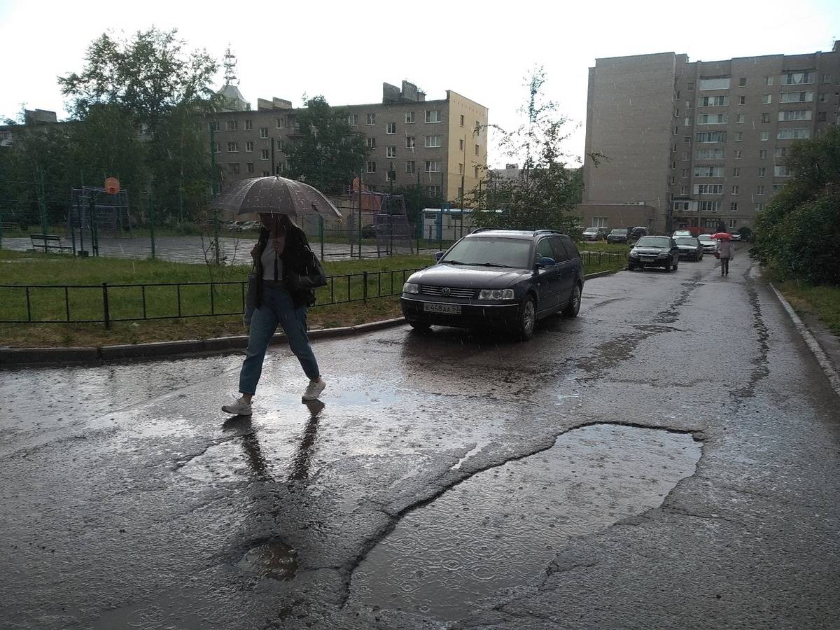 Новгородцев вновь ожидают дожди и грозы.