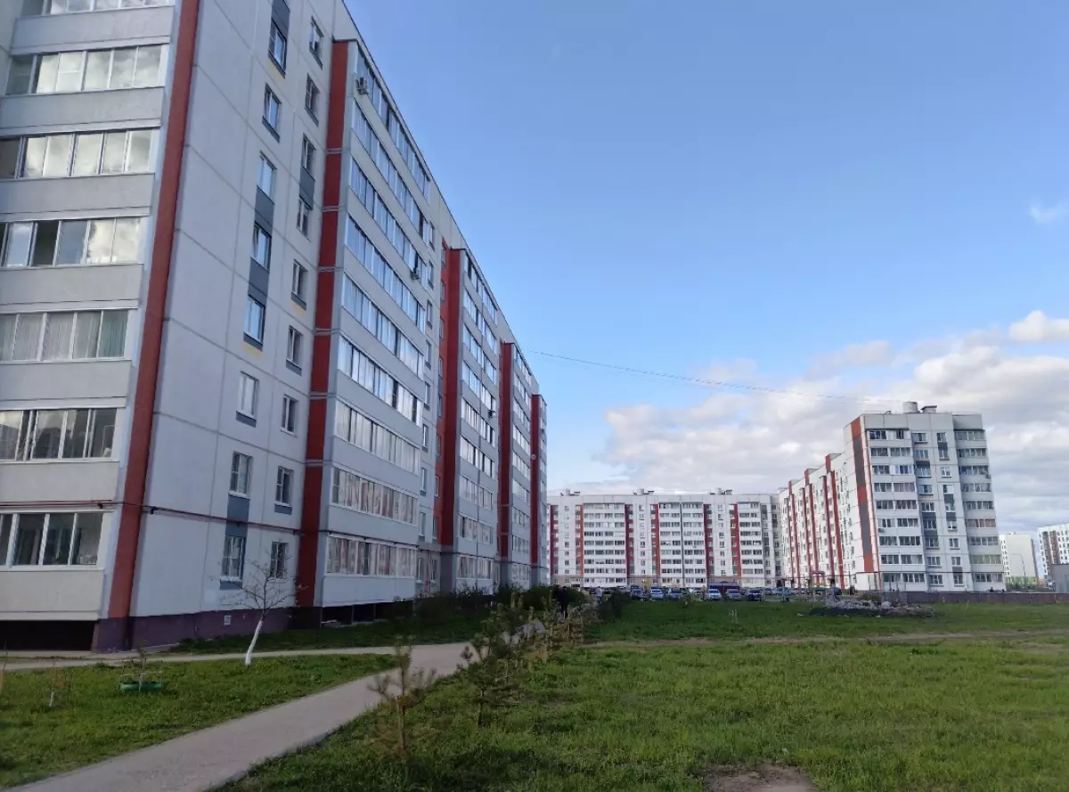 Новости Великого Новгорода и Новгородской области | Новгородские ведомости