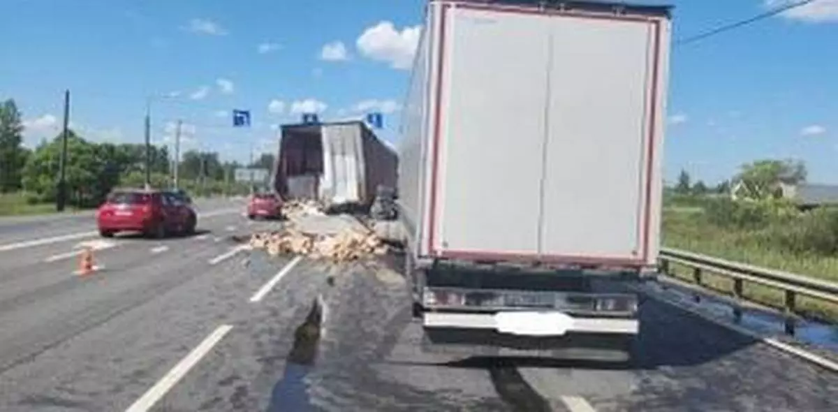 В тройном ДТП с участием грузовых автомобилей в Чудовском районе пострадал водитель фуры «ДАФ».