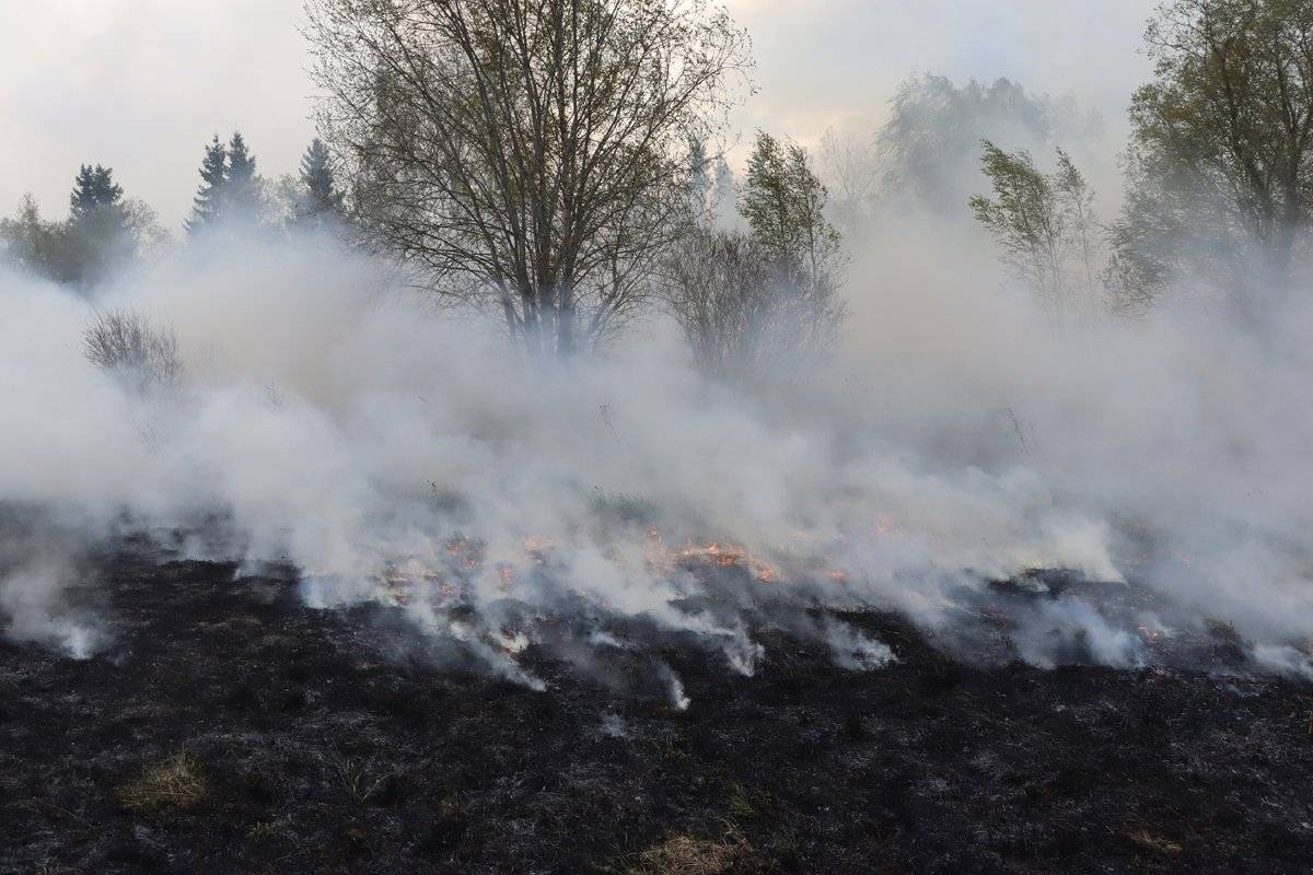 С 24 июля местами по Новгородской области ожидается чрезвычайная пожароопасность.