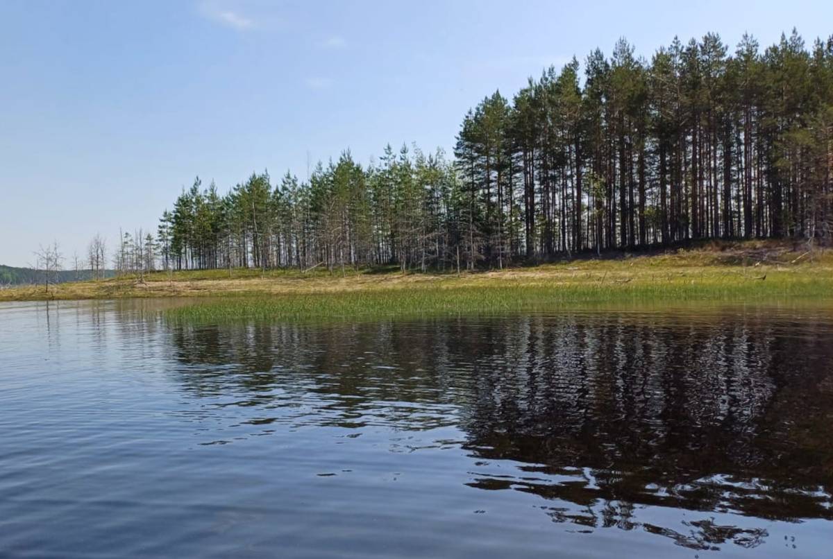 На водоёмах Окуловского района прошли проверки по выявлению незаконных построек в прибрежной зоне