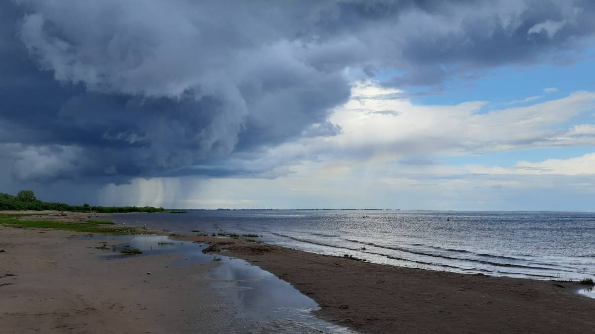 Новгородскую область ожидают ливни