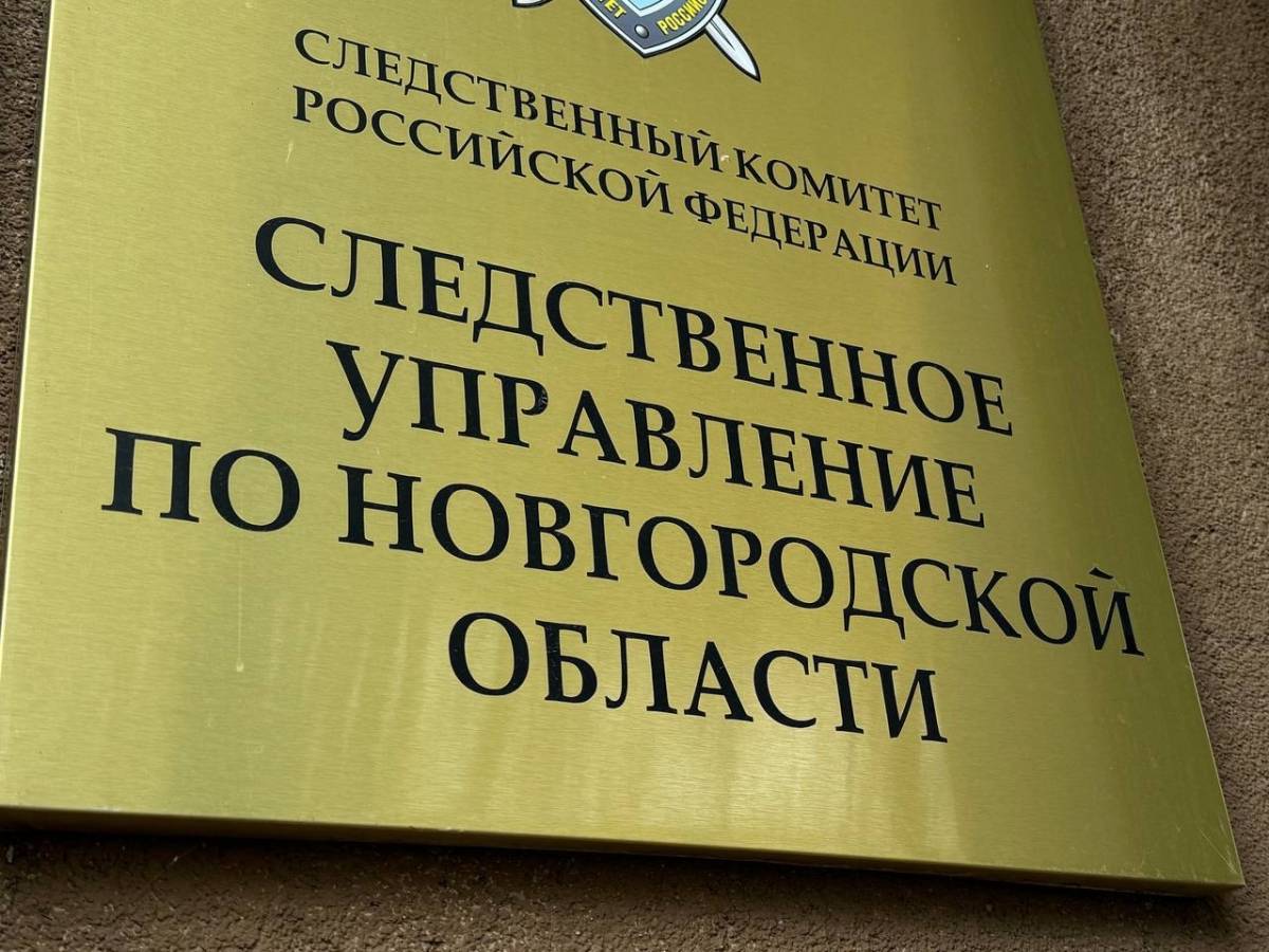 Уголовное дело в отношении чудовца расследовали в Следственном управлении СКР по Новгородской области.