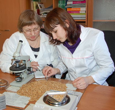 Какие семена имеются на посевную, проверяют специалисты новгородского филиала «Россельхозцентра»