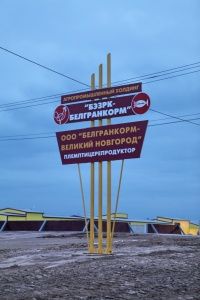 Репродуктор в Карнаухове обошелся агрохолдингу в 1,8 млрд. рублей
