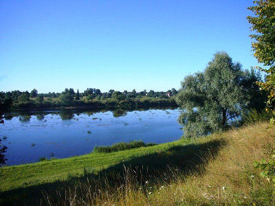 Река Шелонь в районе сражения