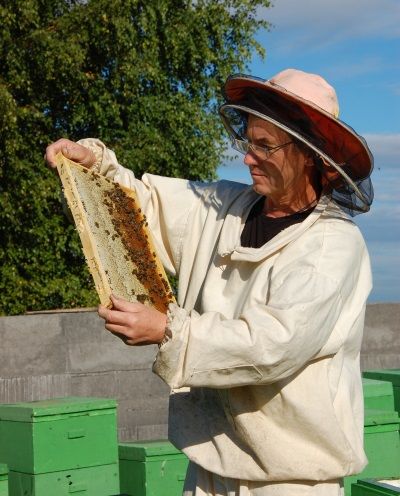 У хорошего пчеловода  нет плохого года