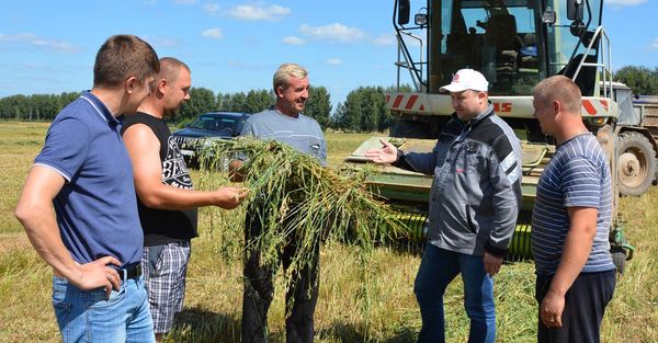 Александр Котяш (второй справа) вместе с механизаторами подводит итоги заготовки кормов за минувший день
